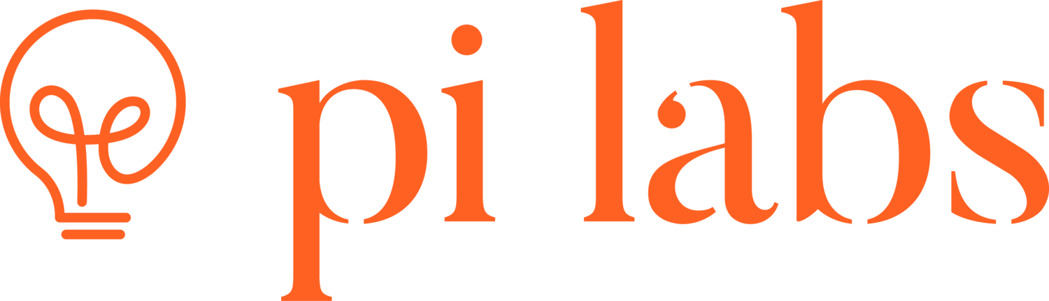 Pi+Labs+-+Logo+-+Orange
